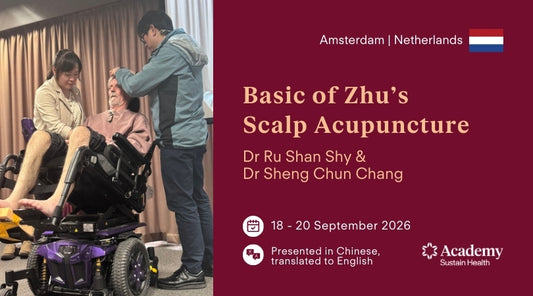 BasicofZhu_sScalpAcupuncture_Amsterdam2026_CoverImage_English