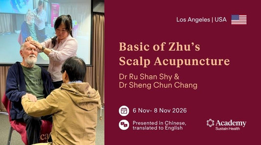 Basics Of Zhu's Scalp Acupuncture | Los Angeles OCT 2026