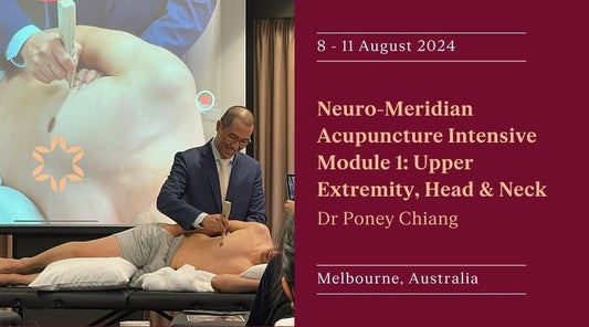 Neuro-Meridian Acupuncture Intensive 2024: Module 1