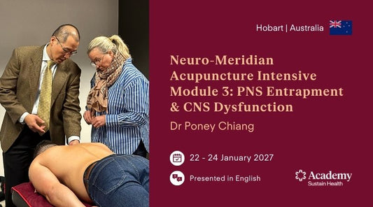 Neuro-Meridian Acupuncture Intensive: Module 3 | Hobart 2027