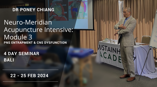 Neuro-Meridian Acupuncture Intensive: Module 3