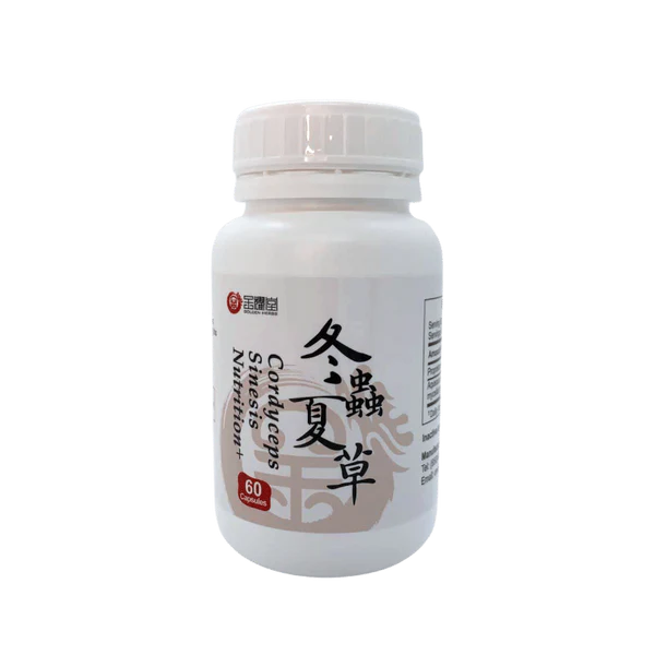 Nutrition+ Cordyceps | Dong Chong Xia Cao 冬蟲夏草