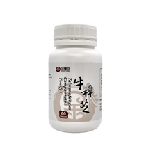 Tonify Plus+ | Taiwanofungus Camphoratus 牛樟芝