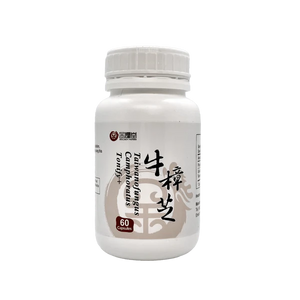 Tonify Plus+ | Taiwanofungus Camphoratus 牛樟芝