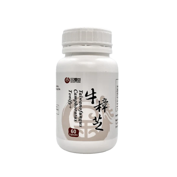 Tonify Plus+ | Taiwanofungus Camphoratus 牛樟芝