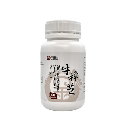 Tonify Plus+ | Taiwanofungus Camphoratus 牛樟芝