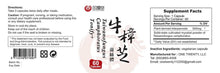 Tonify Plus+ | Taiwanofungus Camphoratus 牛樟芝
