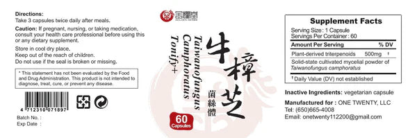 Tonify Plus+ | Taiwanofungus Camphoratus 牛樟芝