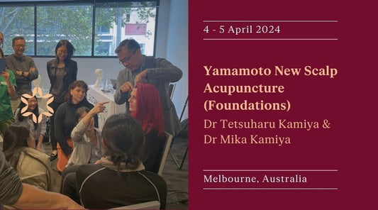 Yamamoto New Scalp Acupuncture: Foundations