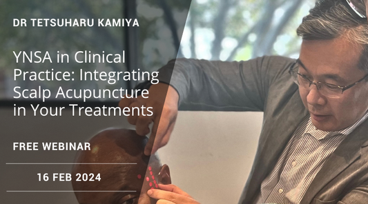 YNSA in Clinical Practice: Integrating Scalp Acupuncture in Your Treatments