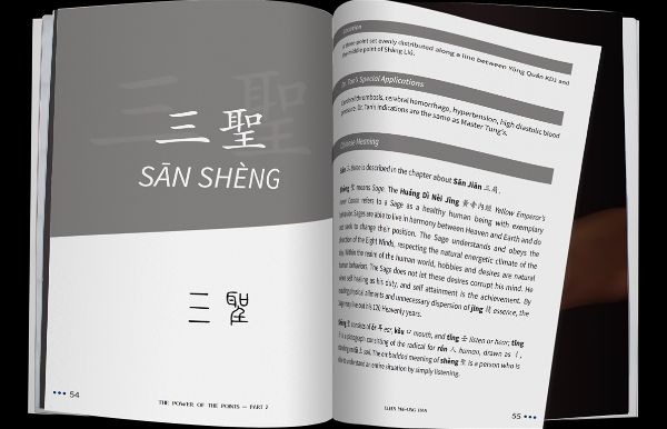 積分的力量 - 第 2 部分 | Eileen Yue-Ling Han，博士，法學碩士。