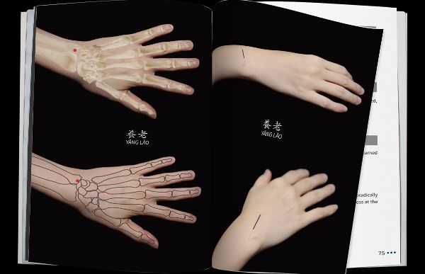 積分的力量 - 第 2 部分 | Eileen Yue-Ling Han，博士，法學碩士。