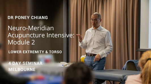 Neuro-Meridian Acupuncture Intensive 2023: Module 2