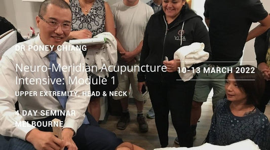 Neuro-Meridian Acupuncture Intensive: Module 1