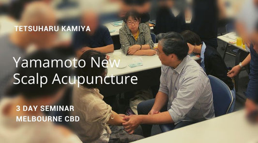 Yamamoto New Scalp Acupuncture 2023