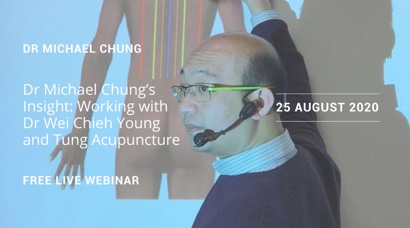 Dr Michael Chung’s Insight: Working With Dr Wei Chieh Young and Tung Acupuncture