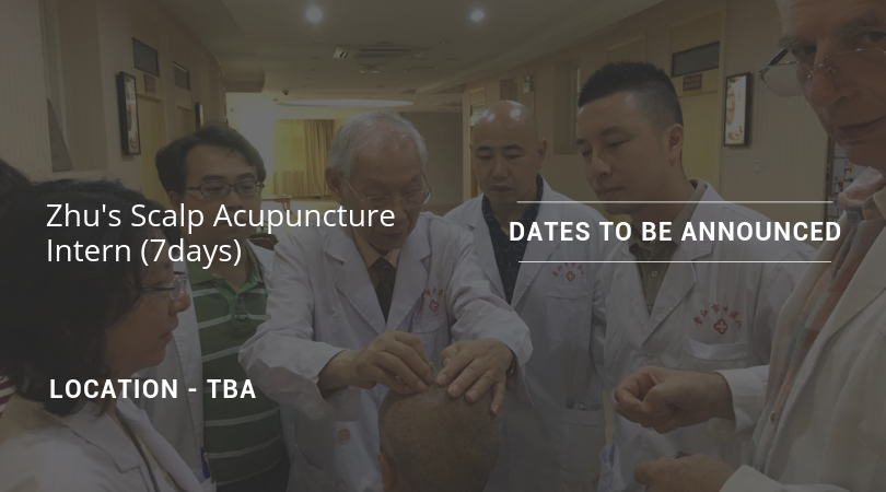 Zhu's Scalp Acupuncture Intern - 7days