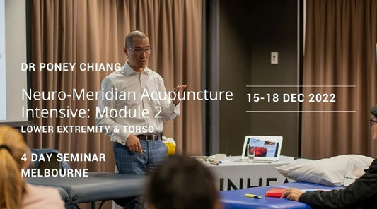 Neuro-Meridian Acupuncture Intensive: Module 2
