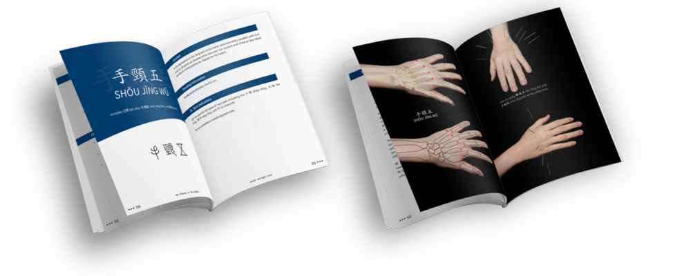 積分的力量 | Eileen Yue-Ling Han，博士，法學碩士。